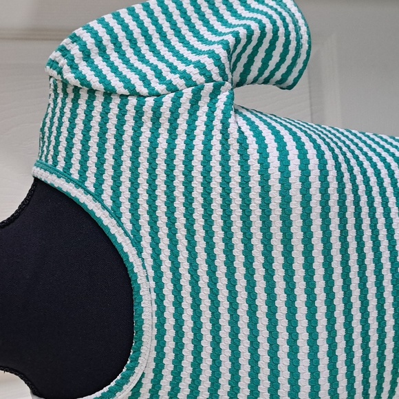 LuLaRoe Amelia Green White Striped Fit & Flare Causal Stretch Pockets Midi Dress - Picture 3 of 12